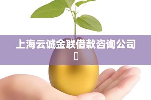 上海云诚金联借款咨询公司​