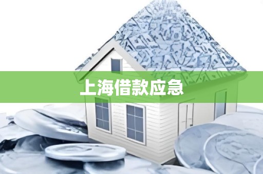 上海借款应急