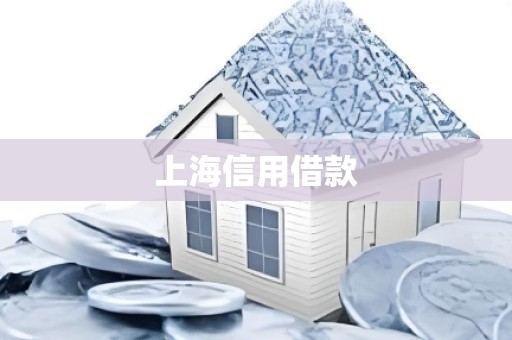 上海信用借款
