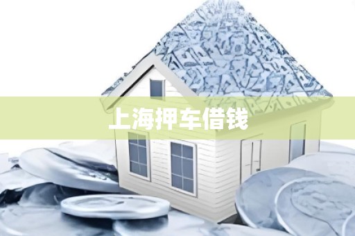 上海押车借钱