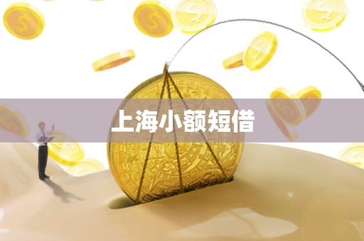 上海小额短借