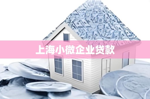 上海小微企业贷款