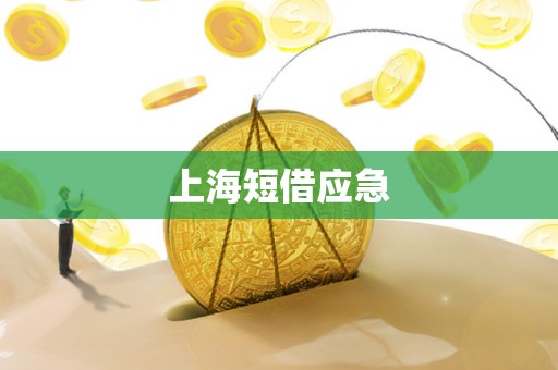 上海短借应急